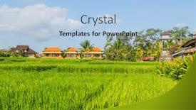  Presentation with rice fields - Slide set with view-of-rice-fields-detail background and a light blue colored foreground