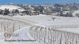  Presentation with vineyards - PPT layouts with view-of-small-town background and a light gray colored foreground