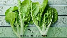  Presentation with low angle view of hockey - Audience pleasing slide set consisting of view of some raw chard backdrop and a seafoam green colored foreground