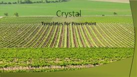  Presentation with vineyards - Theme having view-of-spring-vineyards-near background and a  colored foreground