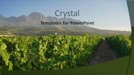  Presentation with vineyards - Presentation design enhanced with view-of-stellenbosch-vineyards-south background and a light blue colored foreground