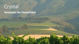  Presentation with south africa - Colorful PPT theme enhanced with view-of-stellenbosch-vineyards-south backdrop and a gray colored foreground