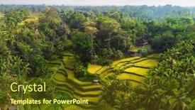  Presentation with bali - Colorful presentation theme enhanced with view-of-tegalalang-rice-terrace backdrop and a tawny brown colored foreground