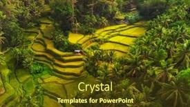  Presentation with bali - Presentation enhanced with view-of-tegalalang-rice-terrace background and a tawny brown colored foreground
