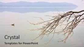  Presentation with top view of amazon river - Beautiful slides featuring view of the hudson river backdrop and a  colored foreground