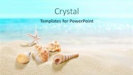  Presentation with shells - Cool new PPT theme with view-of-the-sandy-beach backdrop and a cool aqua colored foreground