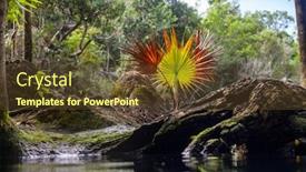  Presentation with palm leaves - Presentation theme featuring view-of-the-tropical-palm background and a tawny brown colored foreground