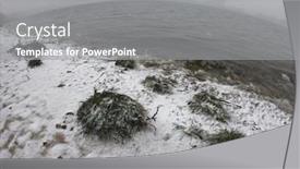  Presentation with winter river - Beautiful presentation theme featuring view-of-the-winter-dnepr backdrop and a gray colored foreground