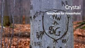  Presentation with lovers - Colorful presentation theme enhanced with view of tree bark backdrop and a gray colored foreground