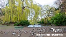  Presentation with hill - Theme consisting of view of trees at beacon background and a gray colored foreground