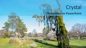  Presentation with hill - Cool new PPT theme with view of trees at beacon backdrop and a light blue colored foreground