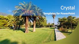  Presentation with coconut - Audience pleasing slide deck consisting of view of tropical coconut palms backdrop and a teal colored foreground