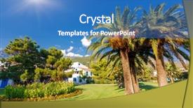  Presentation with coconut - Slides having view of tropical coconut palms background and a  colored foreground