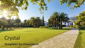  Presentation with coconut - Slide deck enhanced with view of tropical coconut palms background and a gold colored foreground