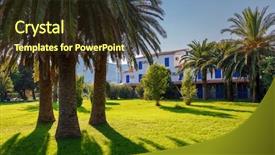  Presentation with coconut - Slide deck having view of tropical coconut palms background and a  colored foreground