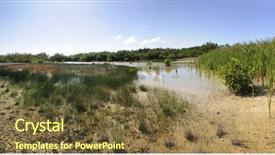  Presentation with mangrove - Amazing PPT layouts having view-of-tropical-mangrove-vegetation backdrop and a tawny brown colored foreground