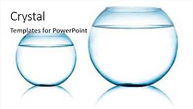  Presentation with top view of fresh fish - Amazing presentation theme having view of two fish bowl backdrop and a white colored foreground