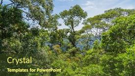 Presentation with park - Amazing PPT theme having view-of-ulu-temburong-national backdrop and a tawny brown colored foreground
