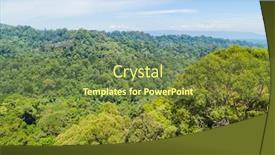  Presentation with park - PPT theme featuring view-of-ulu-temburong-national background and a tawny brown colored foreground