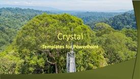  Presentation with eastern - Presentation consisting of view-of-ulu-temburong-national background and a tawny brown colored foreground