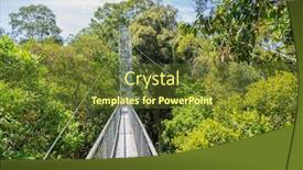  Presentation with shenandoah national park big meadows - Audience pleasing PPT theme consisting of view-of-ulu-temburong-national backdrop and a tawny brown colored foreground