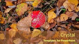  Presentation with fly agaric in forest - PPT theme with view-of-vibrant-red-amanita background and a red colored foreground