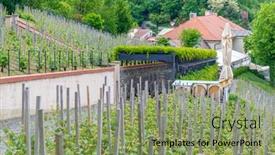  Presentation with prague - PPT theme featuring view of vineyards in prague of czech republic background and a seafoam green colored foreground