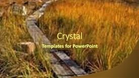 Presentation with marsh - Colorful presentation enhanced with view-of-wooden-foot-path backdrop and a tawny brown colored foreground