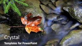  Presentation with ukraine - Slides consisting of view-on-bright-autumn-leaf background and a  colored foreground