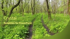  Presentation with forest road green - Slide deck having view-on-dirt-road background and a tawny brown colored foreground