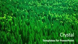  Presentation with bird eye view - Cool new PPT theme with view on fresh pine forest backdrop and a forest green colored foreground