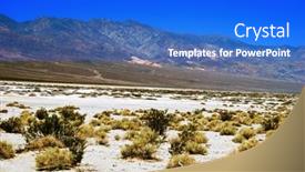  Presentation with death - 