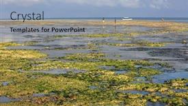  Presentation with zanzibar - PPT layouts with view on ocean shore at mornin low tide zanzibar background and a light blue colored foreground