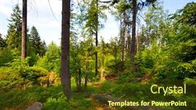  Presentation with mountain view - Slide deck having view-on-szczeliniec-wielki-mountain background and a tawny brown colored foreground