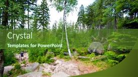  Presentation with mountain view - Amazing slide set having view-on-szczeliniec-wielki-mountain backdrop and a tawny brown colored foreground