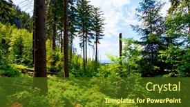  Presentation with mountain view - Presentation design consisting of view-on-szczeliniec-wielki-mountain background and a tawny brown colored foreground