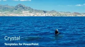  Presentation with water ocean - PPT theme having view-on-tenerife-island background and a ocean colored foreground