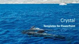  Presentation with water ocean - Theme enhanced with view-on-tenerife-island background and a ocean colored foreground