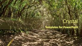  Presentation with rural - PPT layouts with view-on-tenerife-island background and a tawny brown colored foreground