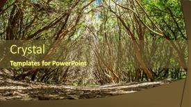  Presentation with rural road - Slide deck having view-on-tenerife-island background and a tawny brown colored foreground