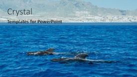  Presentation with water ocean - PPT theme with view-on-tenerife-island background and a light blue colored foreground