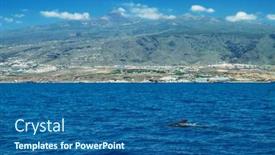  Presentation with whales - Presentation design with view-on-tenerife-island background and a ocean colored foreground