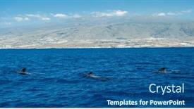  Presentation with whales - Slide set having view-on-tenerife-island background and a ocean colored foreground