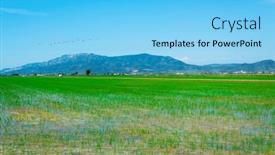  Presentation with paddy field - Beautiful presentation theme featuring view-over-a-flooded-paddy backdrop and a light blue colored foreground