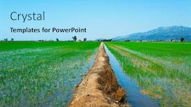  Presentation with paddy field - Colorful presentation enhanced with view-over-a-flooded-paddy backdrop and a arctic colored foreground
