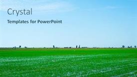  Presentation with paddy field - Slide deck with view-over-a-flooded-paddy background and a light blue colored foreground