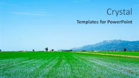  Presentation with paddy field - Presentation consisting of view-over-a-waterlogged-paddy background and a light blue colored foreground