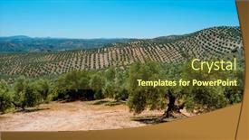  Presentation with olive grove - Theme having view-over-an-olive-grove background and a tawny brown colored foreground