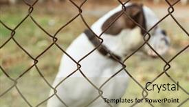  Presentation with chain link fence - Cool new PPT theme with view through chain link fence backdrop and a mint green colored foreground