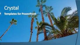  Presentation with hotel - Amazing slides having view to palms and hotel backdrop and a teal colored foreground